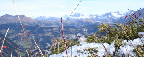 view from Wittenberghorn