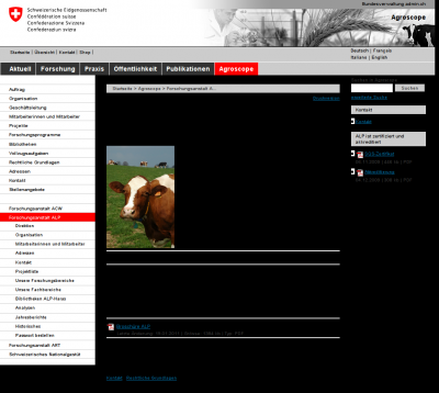 website - preview