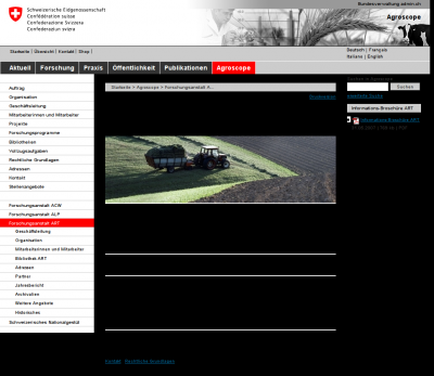 website - preview