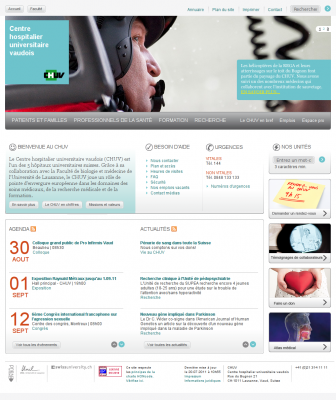 website - preview