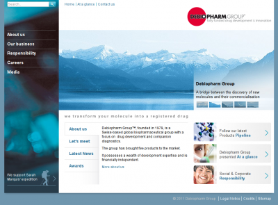 website - preview