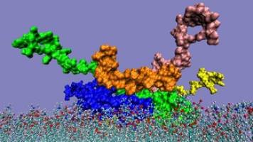 Chemical Biology of Parkinson's disease
