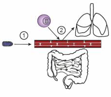 Krebs: Neuen Behandlungsmethoden auf der Spur