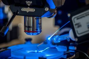 Berner Forschende entdecken Schlaf-Wach-Schaltzentrale im Hirn