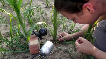 Research across disciplines