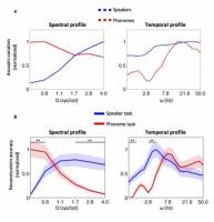 Comment le cerveau distingue la voix du son