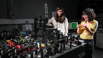 Inside mitochondria and their fascinating genome