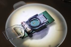 La résonance magnétique à l'échelle des embryons