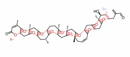 Les nouveaux seigneurs des anneaux mol�culaires