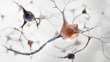 New insights into the processes that cause Parkinson's disease