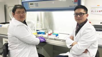 Personalized cancer vaccines