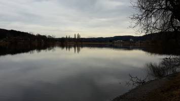 Pflanzenschutzmittel sch�digen auch �kosysteme in Seeb�den