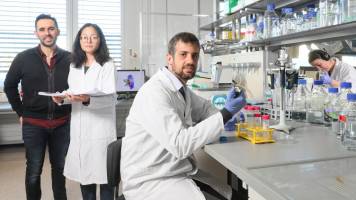 Un «filet de sécurité» pour de nouvelles immunothérapies