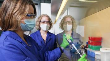 Viruses could become harder to kill