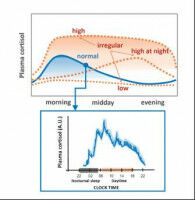 Chercher les signes de burn-out dans la sueur