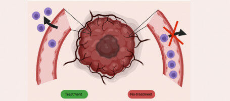 Combiner immunothérapie et médicaments contre le cancer