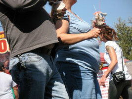 Comment nos cellules stockent-elles la graisse?