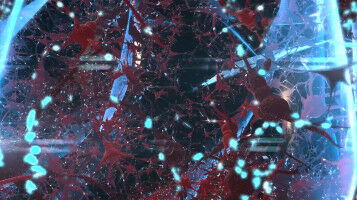 How the brain makes sense of touch