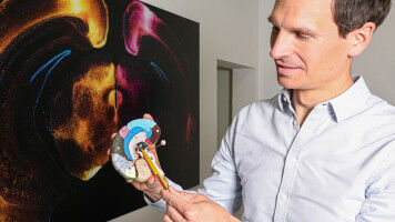 Overcoming long-term trauma can be facilitated