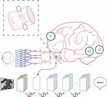 Tailored optical stimulation for the blind