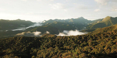 Biodiversit�: utiliser l'intelligence artificielle pour mieux identifier les zones � prot�ger