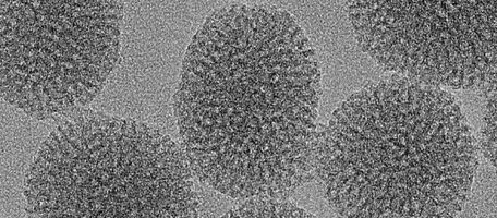 Une nouvelle nanoparticule pour agir au coeur des cellules