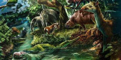 Ein lang bekannter Fundort enthüllt neue Geheimnisse