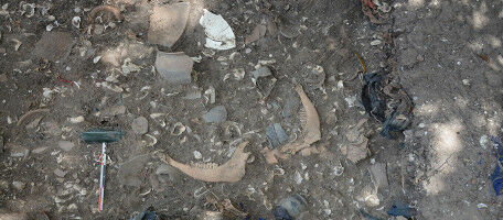 Chimistes, biologistes, arch�ologues, qui exhumera les recettes de nos anc�tres?