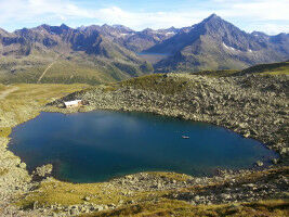 Come l'innalzamento delle foreste influisce sui laghi alpini
