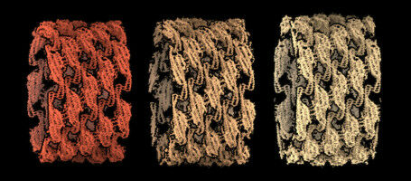 Come le nostre cellule resistono alla pressione fisica