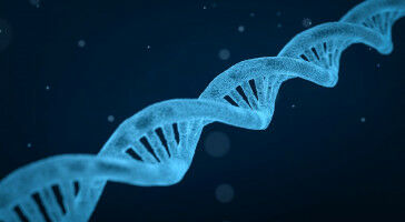 'Genomic time machine' reveals secrets of our DNA
