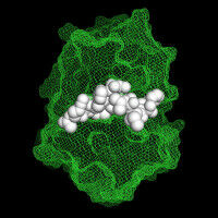 Combattere il cancro con meno effetti collaterali