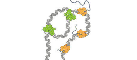 Reducing the side effects of breast and ovarian cancer treatment