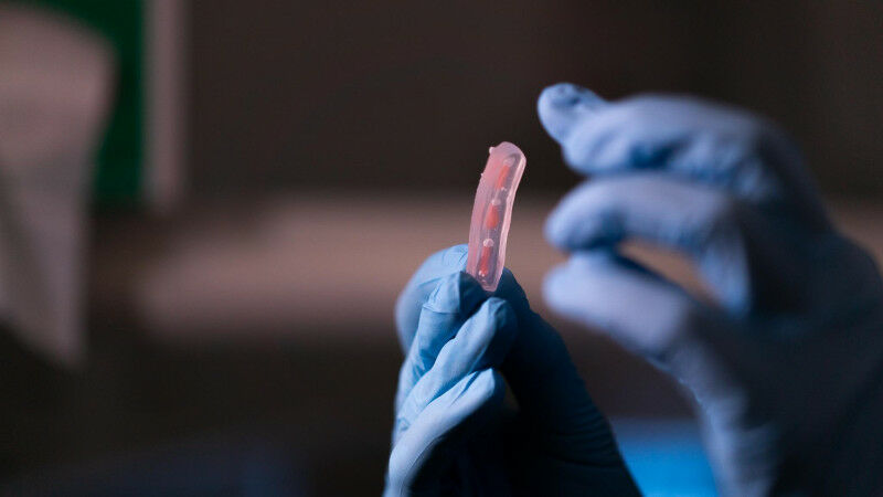 Der Prototyp eines "Fingers", mit starren "Knochen", die von