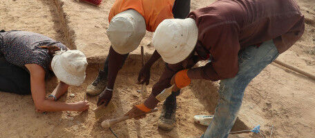 An outstanding discovery shed light on African prehistory