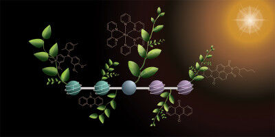 Molecule for important step toward artificial photosynthesis