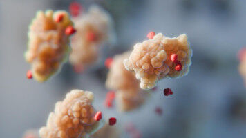 Kleine Molek�le spielen eine wichtige stabilisierende Rolle