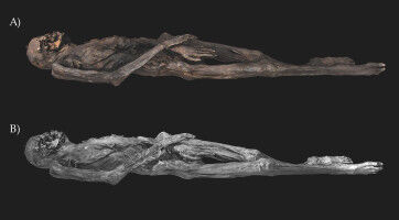 Ice mummy unveils prehistoric tattoo art