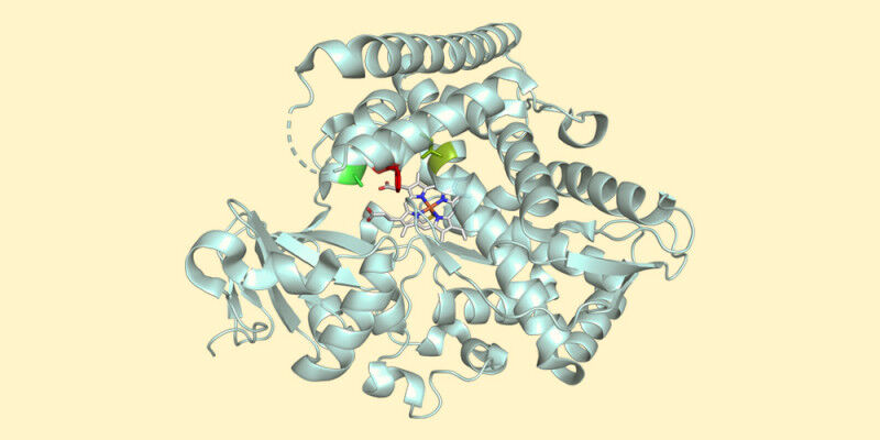 Chemists have modified a natural enzyme so that a specific chemical reaction can