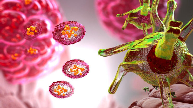 Engineered dendritic cells (right) acquire tumor-derived extracellular vesicles
