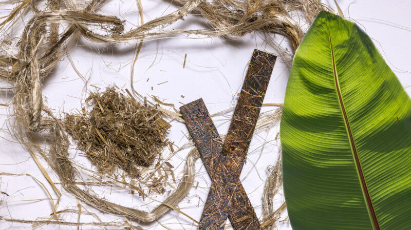 Ein vielversprechender Weg für bestimmte Verbundstoffe: die Faser von Bananensta