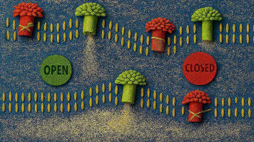 Nanoporen fungieren als elektrische Tore