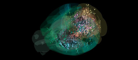 The complete brain map of our decision-making process