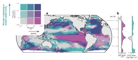 The ocean carbon sink is ailing