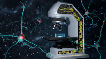 Un microscope intelligent pr�dit les signes de neurod�g�n�rescence