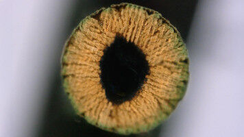 Ein 3D-Druckverfahren f�r extrem widerstandsf�hige Materialien