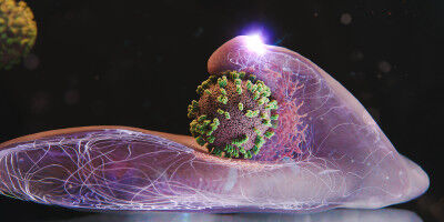 Come i virus influenzali penetrano nelle nostre cellule