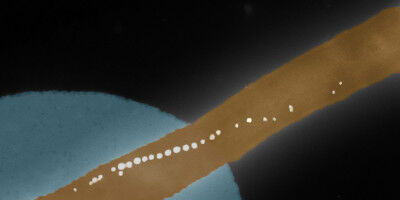 Scienze della vita - Fisica - Immagine colorata al microscopio elettronico della catena di nanoparticelle magnetiche di un singolo batterio Magnetospirillum gryphsiwaldense fissato su una barra elastica. (Immagine: M. Claus e M. W Scienze della vita - Fisica