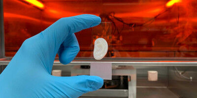 Ein Ohr aus dem Labor