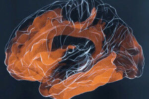 How regions in the brain communicate with each other